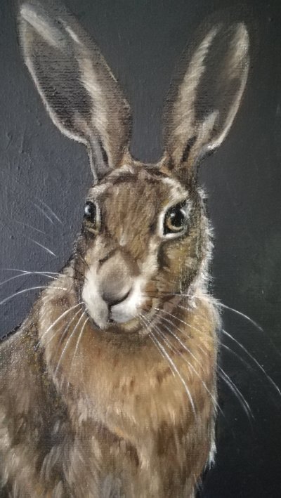 Hare, detalj